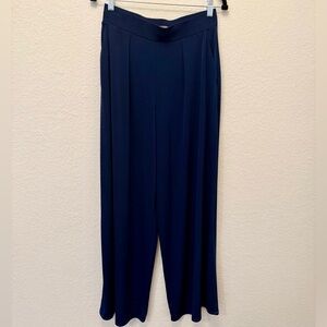 Express Navy Wide-Leg Pants